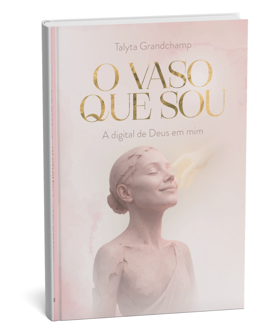 Livro O Vaso que Sou